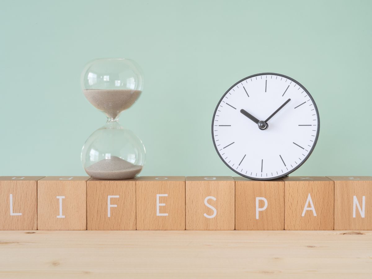 Hourglass and clock beside letter tiles spelling LIFESPAN