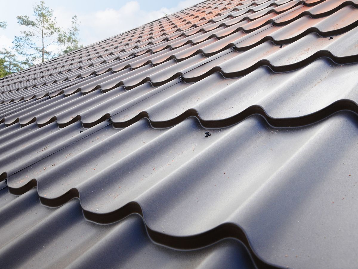 Close-up of roof with dark architectural shingles